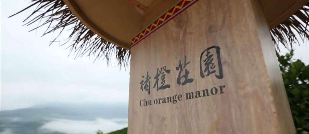 褚橙庄园游学参观