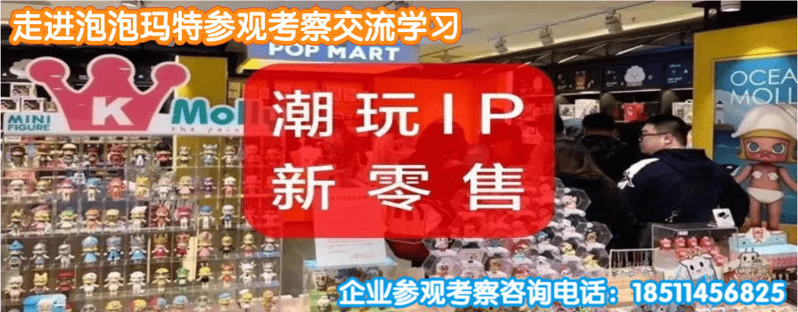 泡泡玛特参观考察.png