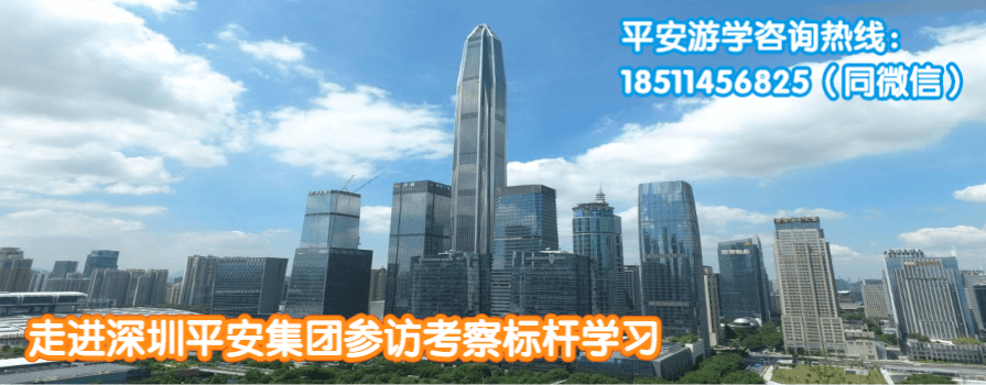 深圳平安集团考察游学.png